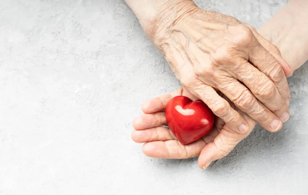 Elderly hands clasped while holding a toy heart.